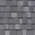 Eastern grey